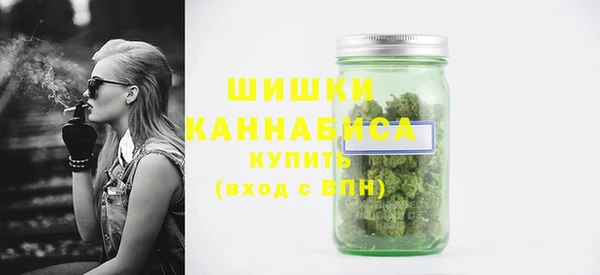 мдпв Снежногорск