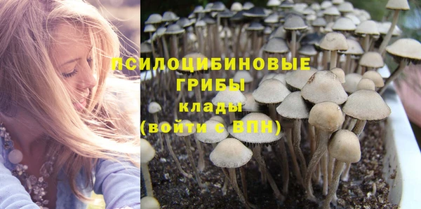COCAINE Белокуриха