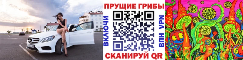 omg зеркало  наркота  Нестеров  Галлюциногенные грибы Magic Shrooms 